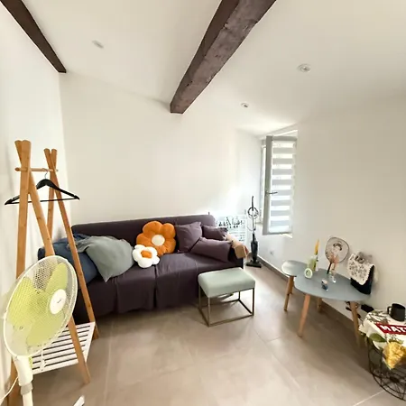 Apartment T2 Renovee En Centre Ajaccio (Corsica)